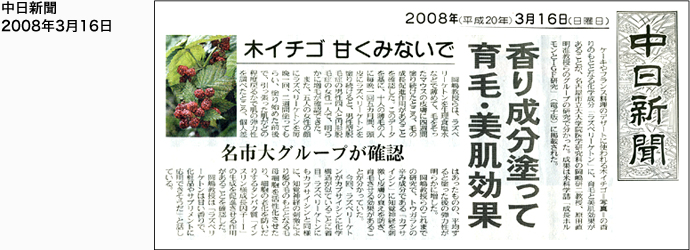 中日新聞2008年3月16日